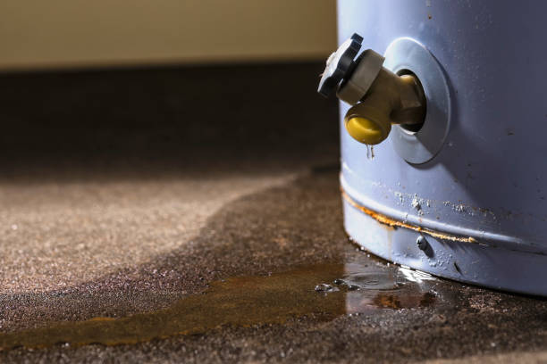 Best Water damage repair service  in Triangle, VA