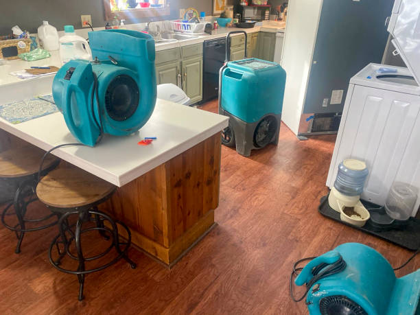 Best Sewage cleanup and water damage restoration  in Triangle, VA