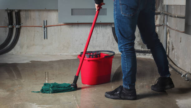 Best Water damage restoration near me  in Triangle, VA