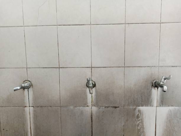 Best Water damage restoration company  in Triangle, VA