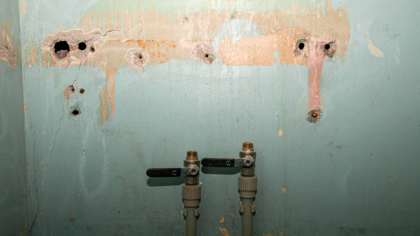 Best Mold removal after water damage  in Triangle, VA