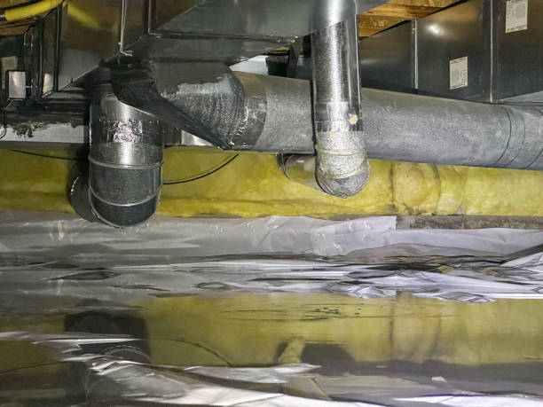 Best Water damage restoration experts  in Triangle, VA