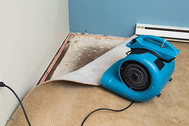  Triangle, VA Water damage restoration Pros